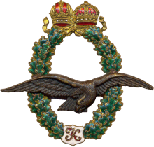 Знак Pilot