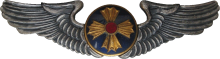 Знак Пилот