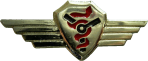 Знак Surgion