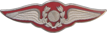 Знак Navigator
