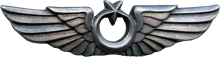 Знак Пилот