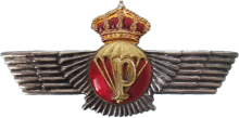 Знак Parachutist rigger