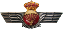 Знак Parachitist