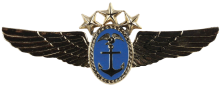 Знак Command pilot