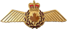 Знак Pilot