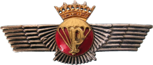 Знак Parachutist rigger