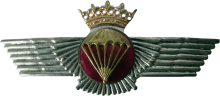 Знак Parachutist