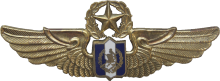 Знак Master pilot
