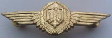 Знак Пилот 1 класса