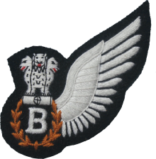 Знак Bombardier