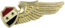 Знак Aircrew man
