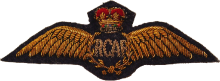 Знак Pilot