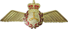 Знак Technician