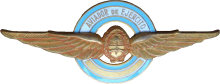 Знак Pilot