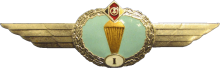 Знак Parachutist 1st class