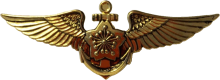 Знак Pilot