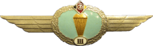 Знак Parachutist 3rd class