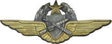 Знак Пилот наблюдатель