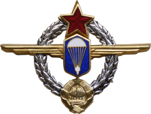Знак Парашютист-инструктор 1 класса
