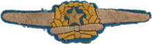 Знак Пилот