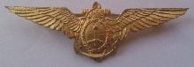Знак Navy pilot