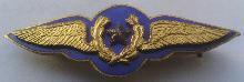 Знак Pilot