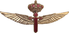 Знак Pilot