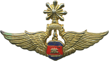 Знак Пилот