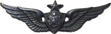 Знак Старший член экипажа Знак Старший член экипажа