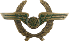 Знак Pilot
