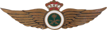 Знак Pilot