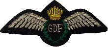 Знак PIlot
