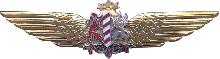 Знак Board aviation pilot
