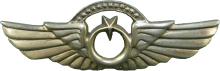 Знак Пилот с налетом 1000 часов