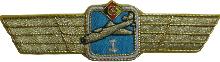 Знак Pilot 1st class