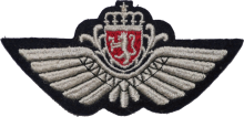 Знак Pilot