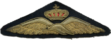 Знак Pilot