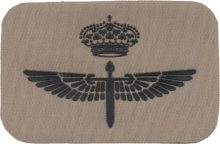 Знак Пилот