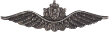Знак Pilot