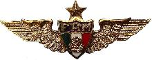 Знак Пилот, 1500 часов