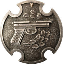 Знак За отличную стрельбу из пистолета со звездой