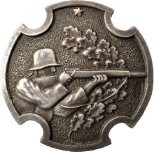 Знак За отличную стрельбу из винтовки со звездой