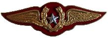 Знак Pilot