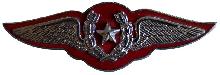 Знак Пилот