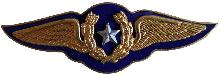 Знак Pilot
