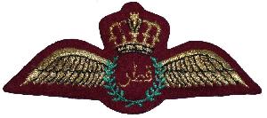 Нагрудный знак Летчик 