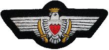Знак Pilot