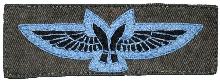 Знак Pilot