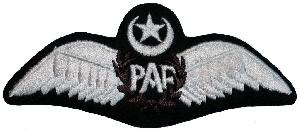 Нагрудный знак Пилот 