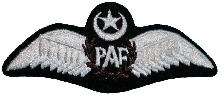 Знак Pilot
